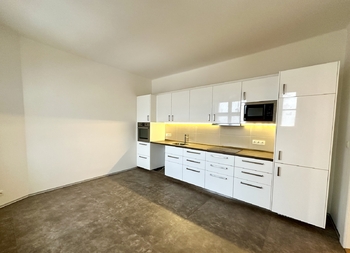 Pronájem bytu 2+1 v osobním vlastnictví 86 m², Praha 3 - Žižkov