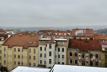 Pronájem bytu 2+1 v osobním vlastnictví 86 m², Praha 3 - Žižkov