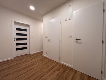 Pronájem bytu 2+1 v osobním vlastnictví 53 m², Praha 6 - Vokovice