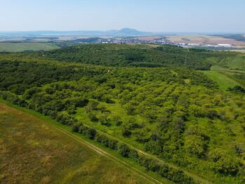 Prodej pozemku 3780 m², Hustopeče
