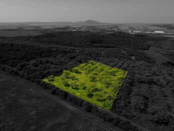 Prodej pozemku 3780 m², Hustopeče