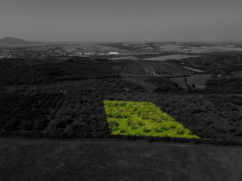 Prodej pozemku 3780 m², Hustopeče