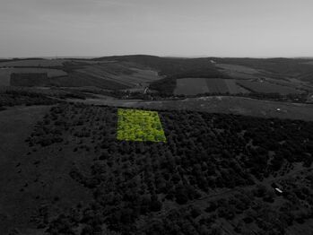 Prodej pozemku 3780 m², Hustopeče