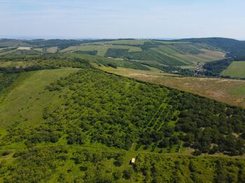 Prodej pozemku 3780 m², Hustopeče