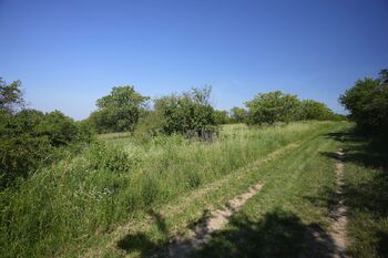 Prodej pozemku 3780 m², Hustopeče