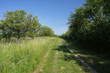 Prodej pozemku 3780 m², Hustopeče