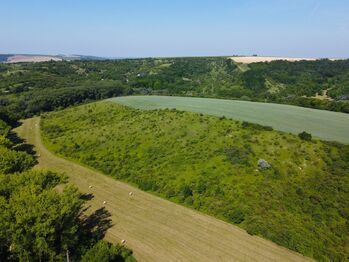 Prodej pozemku 4095 m², Hustopeče