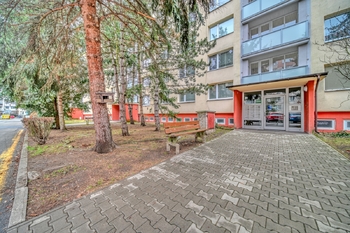Pronájem bytu 1+1 v osobním vlastnictví 41 m², Mladá Boleslav