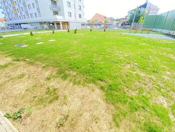 Pronájem bytu 2+kk v osobním vlastnictví 55 m², Plzeň