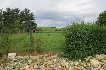 Prodej chaty / chalupy 130 m², Stará Červená Voda