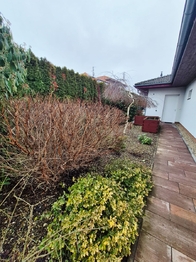 Pronájem domu 140 m², Praha 8 - Ďáblice