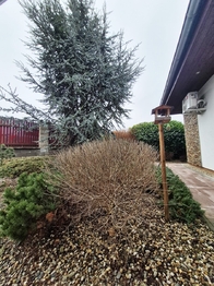 Pronájem domu 140 m², Praha 8 - Ďáblice