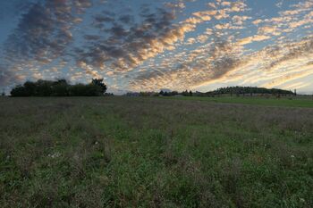 Prodej pozemku 7948 m², Sedlčany