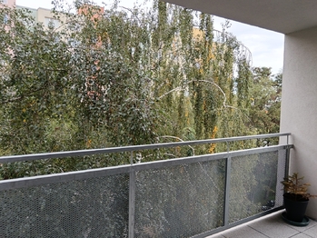 Terasa - Pronájem bytu 3+kk v družstevním vlastnictví 66 m², České Budějovice