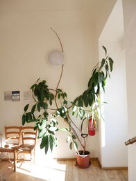 Pronájem kancelářských prostor 28 m², Praha 1 - Malá Strana