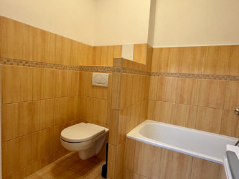 Pronájem bytu 2+1 v osobním vlastnictví 42 m², Praha 6 - Vokovice