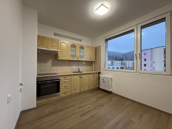 Pronájem bytu 1+1 v osobním vlastnictví 42 m², Ústí nad Labem