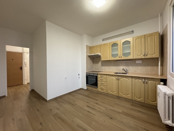 Pronájem bytu 1+1 v osobním vlastnictví 42 m², Ústí nad Labem
