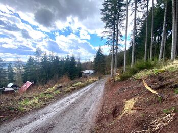 Prodej chaty / chalupy 197 m², Stará Paka