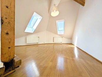 denní část ... - Pronájem bytu 3+kk v osobním vlastnictví 103 m², Havlíčkův Brod