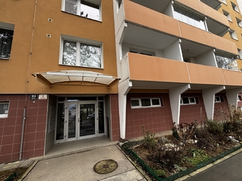 Pronájem bytu 1+1 v osobním vlastnictví 45 m², Brno