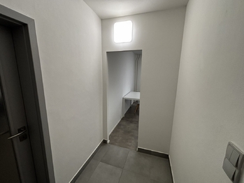 Pronájem bytu 1+1 v osobním vlastnictví 45 m², Brno