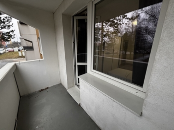 Pronájem bytu 1+1 v osobním vlastnictví 45 m², Brno