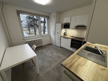 Pronájem bytu 1+1 v osobním vlastnictví 45 m², Brno