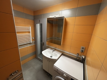 Pronájem bytu 1+1 v osobním vlastnictví 45 m², Brno