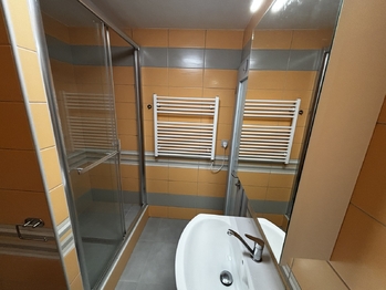 Pronájem bytu 1+1 v osobním vlastnictví 45 m², Brno