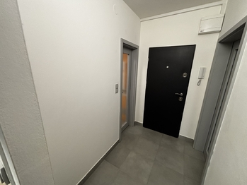 Pronájem bytu 1+1 v osobním vlastnictví 45 m², Brno