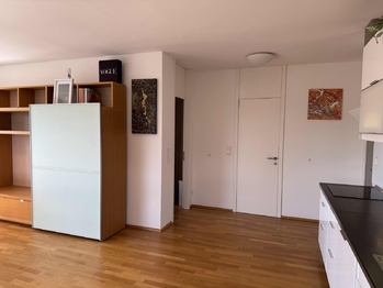 Pronájem bytu 2+kk v osobním vlastnictví 51 m², Dolní Břežany