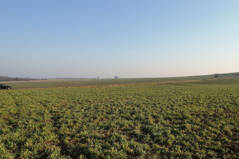 Prodej pozemku 6349 m², Račiněves