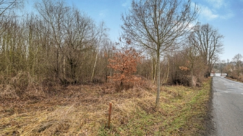 Prodej pozemku 2055 m², Kamenice