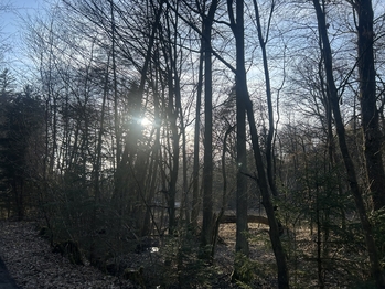 Prodej pozemku 617 m², Hrusice