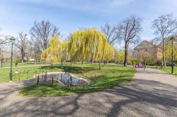 Okolí - Pronájem bytu 2+1 v osobním vlastnictví 53 m², Praha 8 - Karlín