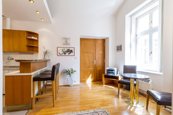 Prodej bytu 2+kk v družstevním vlastnictví 42 m², Praha 1 - Nové Město