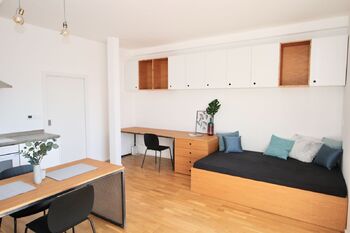 Pronájem bytu 1+kk v osobním vlastnictví 32 m², Praha 7 - Holešovice