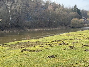 řeka - Prodej domu 290 m², Zbečno