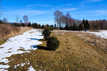 Prodej chaty / chalupy 86 m², Horní Planá