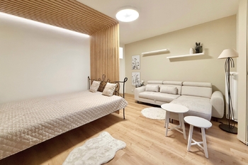 Pronájem bytu 1+1 v osobním vlastnictví 58 m², Praha 3 - Žižkov