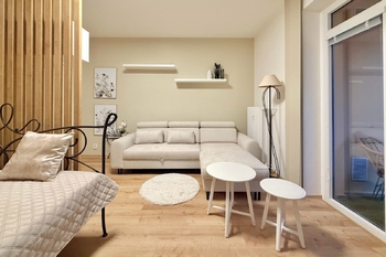 Pronájem bytu 1+1 v osobním vlastnictví 58 m², Praha 3 - Žižkov