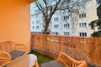 Pronájem bytu 1+1 v osobním vlastnictví 58 m², Praha 3 - Žižkov