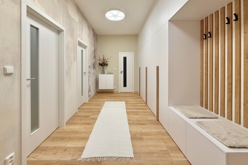 Pronájem bytu 1+1 v osobním vlastnictví 58 m², Praha 3 - Žižkov