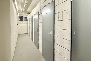 Pronájem bytu 1+1 v osobním vlastnictví 58 m², Praha 3 - Žižkov