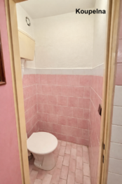 Pronájem obchodních prostor 279 m², Benešov