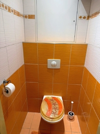 Pronájem bytu 3+kk v osobním vlastnictví 78 m², Praha 6 - Ruzyně