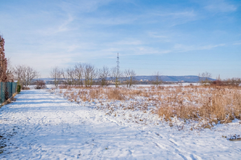 Prodej pozemku 3182 m², Dalovice