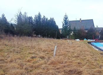 Je tu tráva a mladé ovocné stromky, - Prodej pozemku 714 m², Žebrák