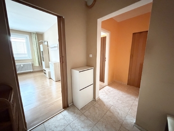 Pronájem bytu 2+kk v družstevním vlastnictví 43 m², Osek